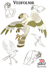 Vedfolnir Character Study illustration by Kathryn Massey.  Vedfolnir is Odur's companion.  Vedfolnir is also the hawk that sits between the Eagle's eyes on the tree Yggdrasil. Norhalla.com