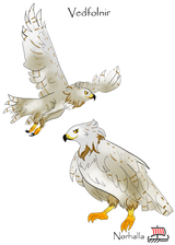 Vedfolnir - Odur's Goshawk. Illustration by Brianna Cover, copyright Norhalla.com.